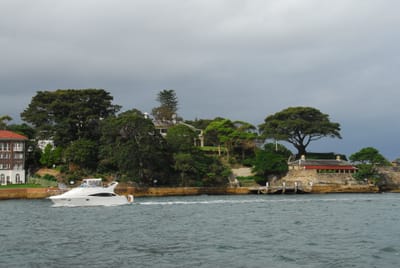 DSC_2253.JPG