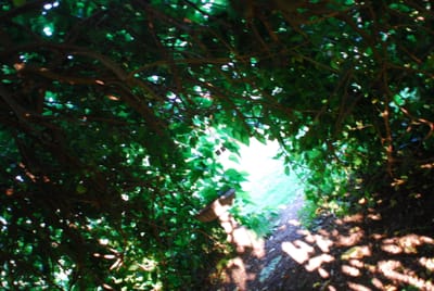 DSC_1939.JPG