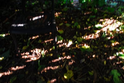 DSC_1940.JPG