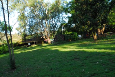 DSC_1942.JPG