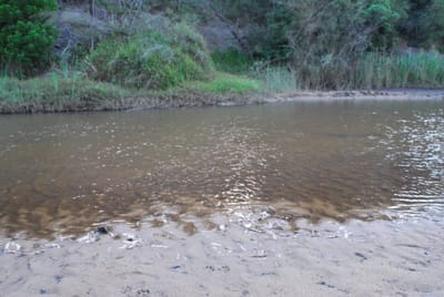 DSC_1954.JPG