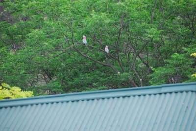 DSC_1958.JPG