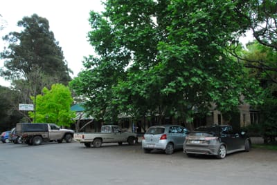 DSC_1960.JPG