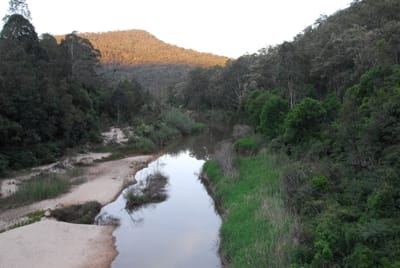 DSC_1973.JPG
