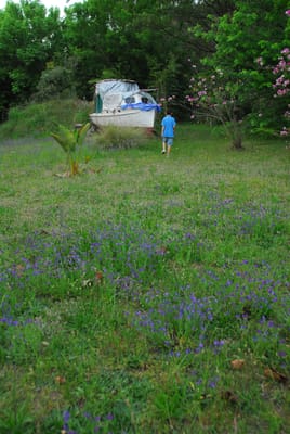 DSC_1977.JPG