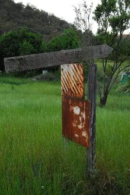 DSC_1979.JPG