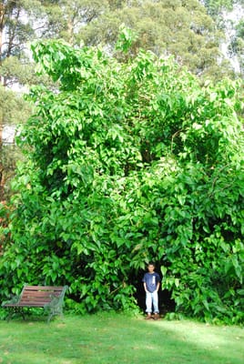 DSC_2038.JPG