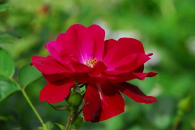 DSC_2047.JPG