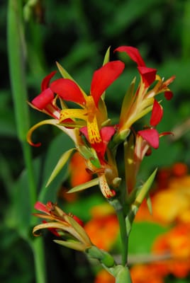 DSC_2048.JPG