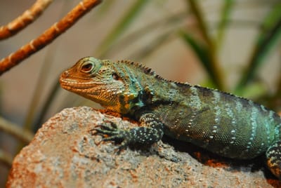DSC_8058.JPG