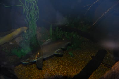 DSC_8069.JPG