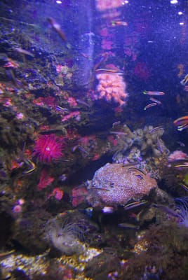 DSC_8073.JPG