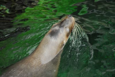 DSC_8075.JPG