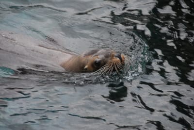 DSC_8076.JPG
