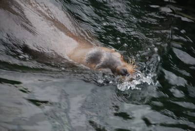 DSC_8077.JPG