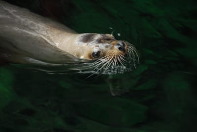 DSC_8081.JPG