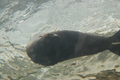 DSC_8083.JPG