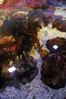 DSC_8085.JPG