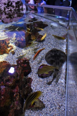 DSC_8086.JPG