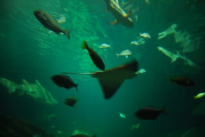 DSC_8112.JPG