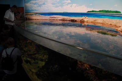 DSC_8132.JPG