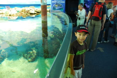 DSC_8135.JPG