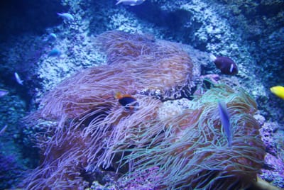 DSC_8137.JPG