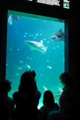 DSC_8138.JPG