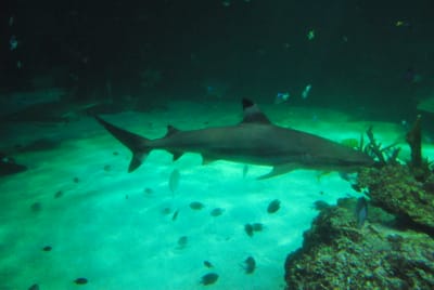 DSC_8142.JPG