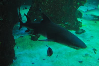 DSC_8146.JPG