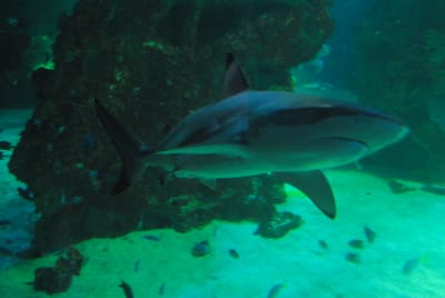 DSC_8147.JPG