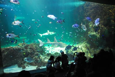 DSC_8162.JPG