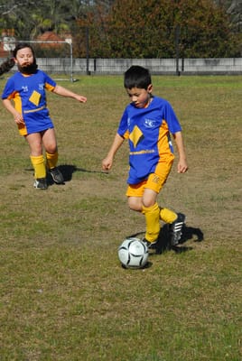DSC_1331.JPG