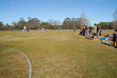 DSC_1336.JPG
