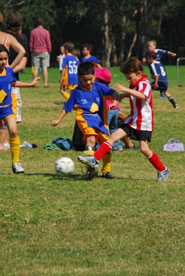 DSC_9365.JPG
