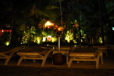 DSC_9435.JPG