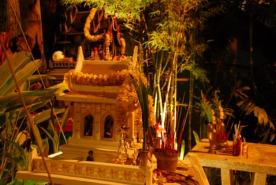 DSC_9465.JPG