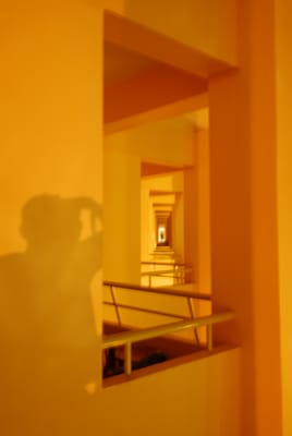 DSC_9470.JPG