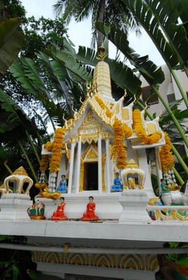 DSC_9475.JPG