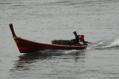 DSC_9477.JPG