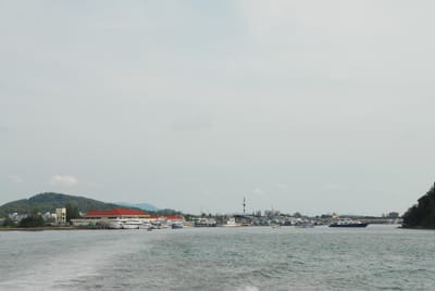 DSC_9478.JPG