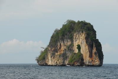 DSC_9479.JPG