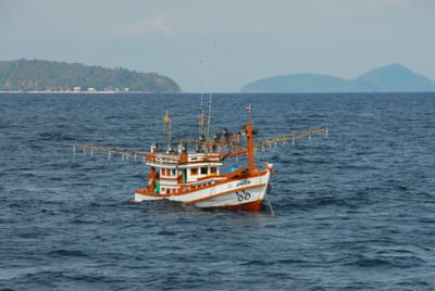 DSC_9482.JPG