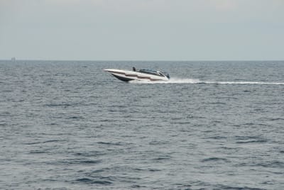 DSC_9485.JPG