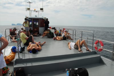 DSC_9486.JPG