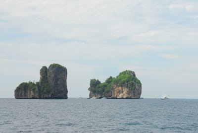 DSC_9498.JPG
