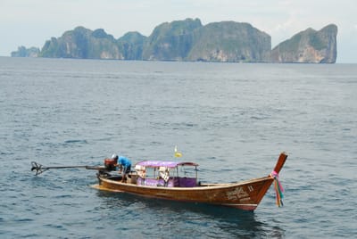 DSC_9505.JPG