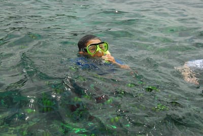 DSC_9510.JPG