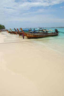 DSC_9521.JPG