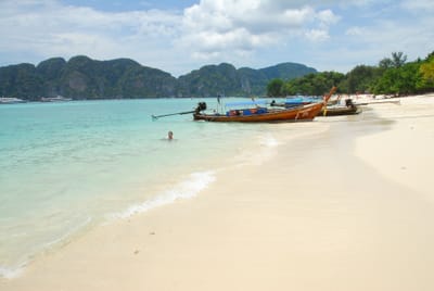 DSC_9528.JPG